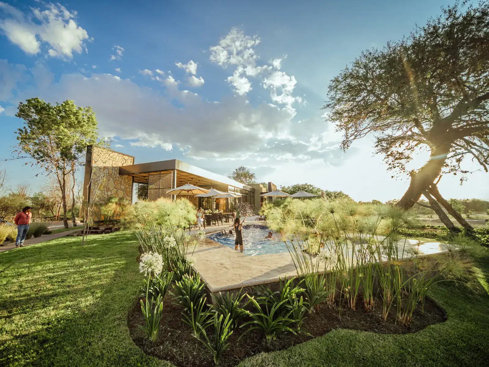 Jardín con árbol maduro junto a la alberca