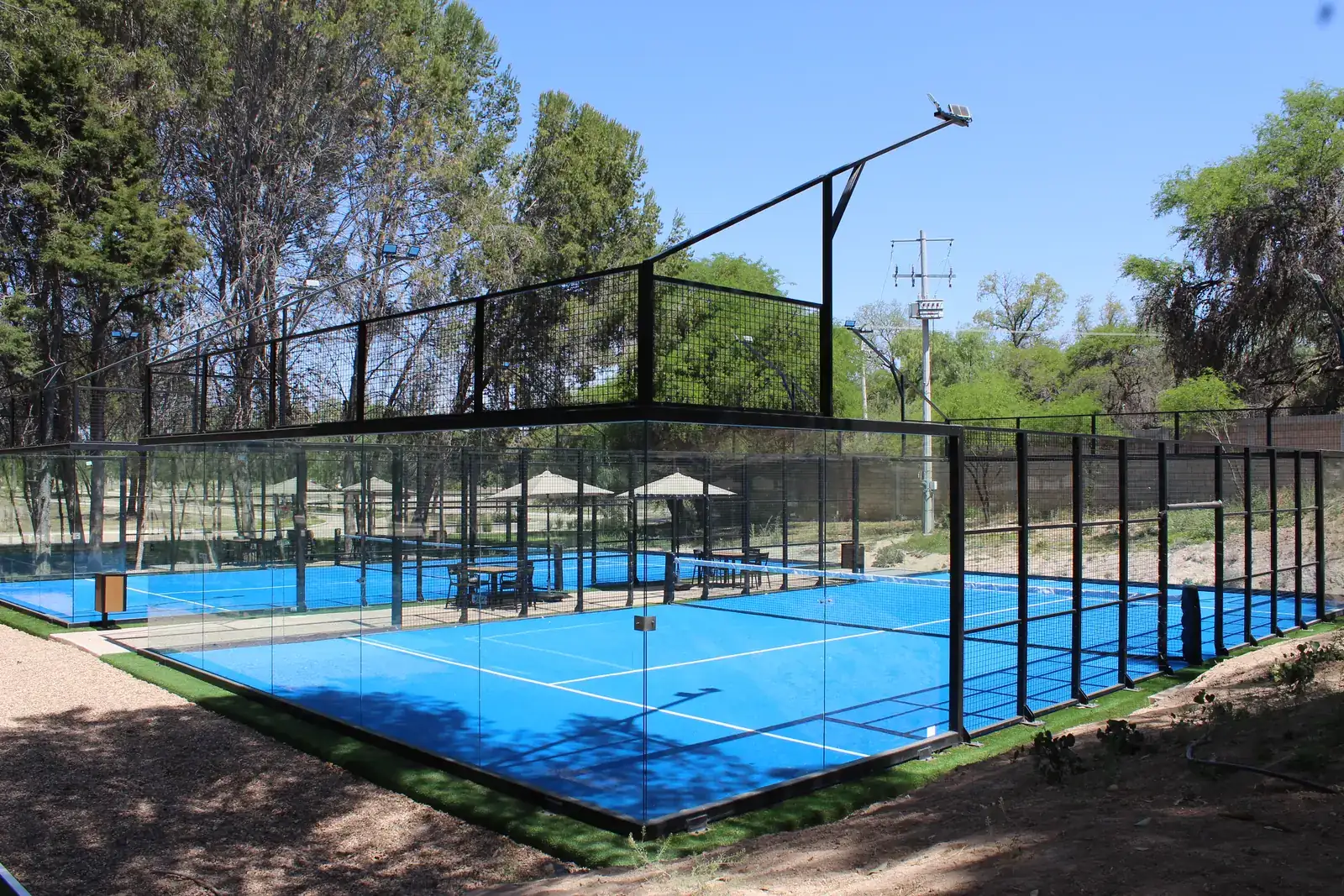 Canchas de pádel rodeadas de árboles